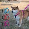 Adjustable H-Style Dog Harness Vest With Leash Small Medium Large Breeds Nylon Pet Walking Gear