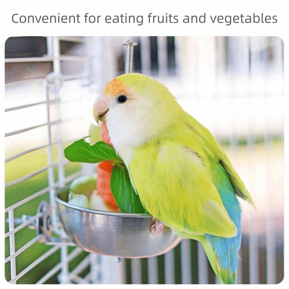 Stainless Steel Parrot Feeder Splash-Proof Vegetable Skewer Bird Food Holder  Pet Container