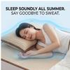 Machine Washable Ice Silk Cooling Mattress Set with 2 Pillowcases, Breathable Summer Bed Sheet for Home Dorm, Soft Fitted Sheet