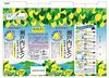 Pokka Sapporo Setouchi Lemon Lemonade Base 500ml Dilution Pack of 3 Bottles