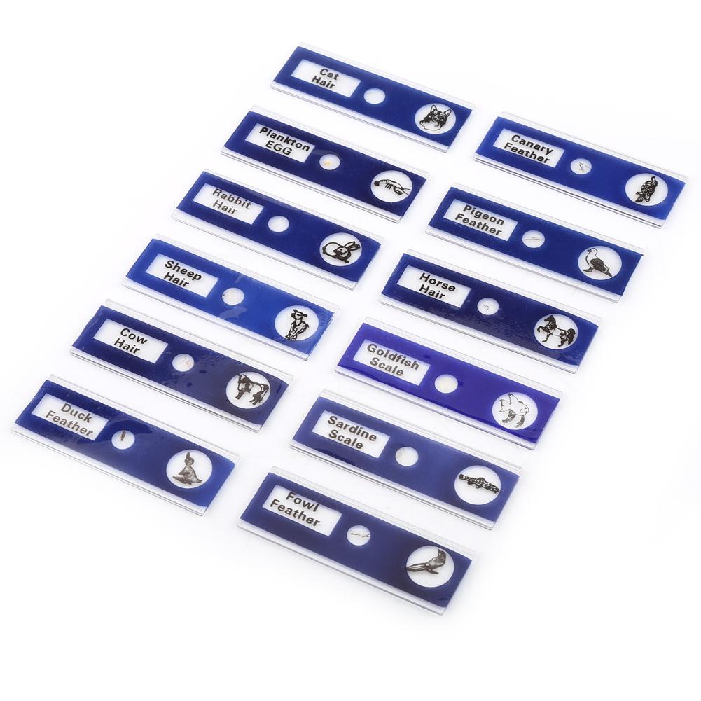 12pcs Plastic Prepared Microscope Slides Animals Insects Flowers Plants Red box