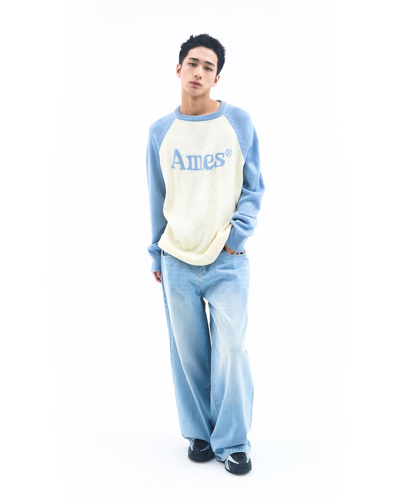 AMES-WORLDWIDE Basic Raglan Pullover Knit Light Blue