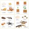 The World of Nature with Interactive STEM Toy Set