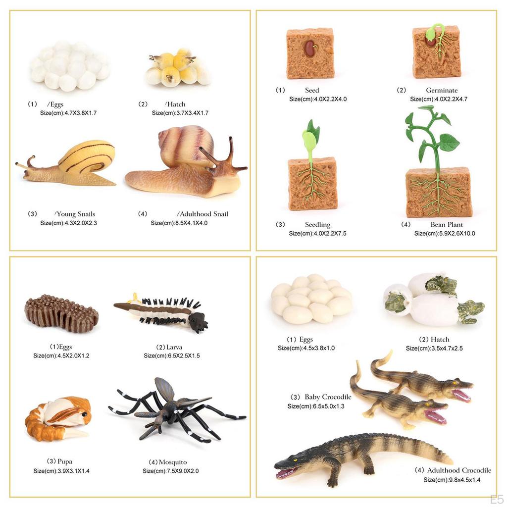 The World of Nature with Interactive STEM Toy Set