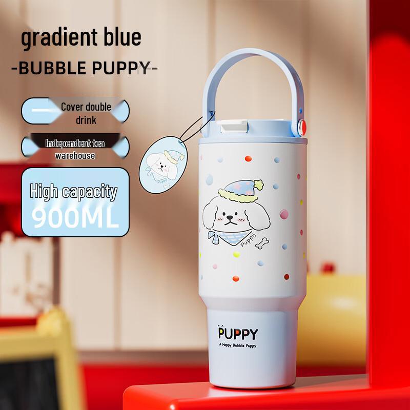 OLOEY Stainless Steel Portable Water Bottle with Straw