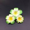 Pince à cheveux Plumeria: Fleur Hawaïenne en EVA pour Maillots de Bain & Voyage (4-9cm)