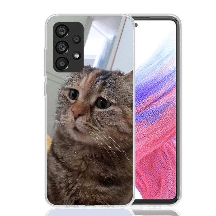 Pet Cat Funny Memes Phone Case For Samsung Galaxy A52 A32 A22 A12 A02S A50S A30S A51 A31 AA71 Note 20 Ultra 10 S10 Plus Galaxy A