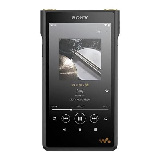 Sony Walkman 128GB WM1 Series NW-WM1AM2: Equipped with Android / Compatible with USB-TtpeC Cable / DSDDSD 11.2MHz Native Playback PCM 384kHz/32bit