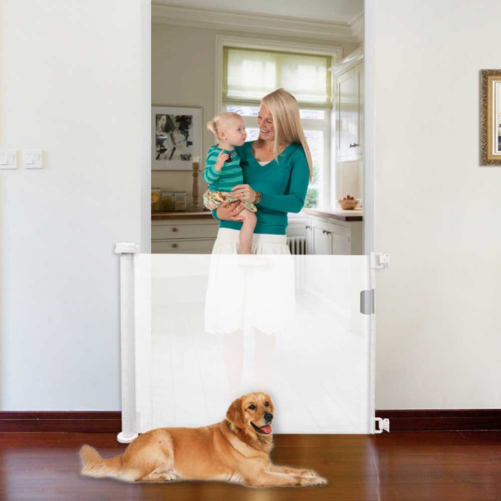child dog gate