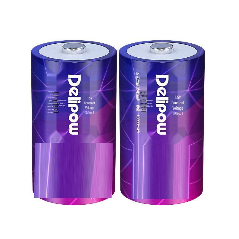 SKG D-Type 1.5V Rechargeable Lithium Battery & Charger Set