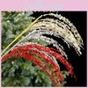 American Christmas Tree Decor Branches With Glitter Sparkle For Holiday Festive Display