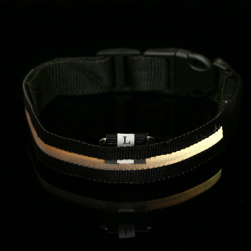 LED Dog Leash (L/Rainbow)