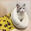 Cat Bed Winter Enclosed Plush Blanket With Warmth For Indoor Outdoor Use