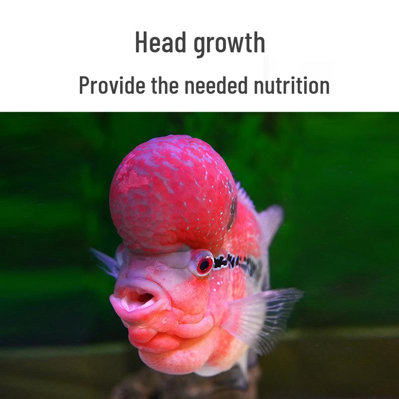 Universal Floating Pellets for Flowerhorn, Parrot, and Tropical Fish In Aquariums