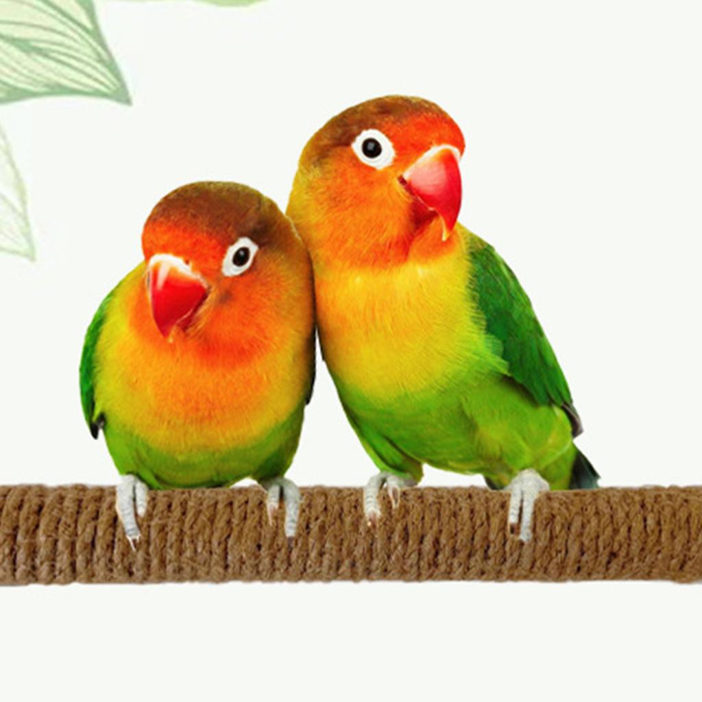 1/2/3Pcs Rope Pet Parrot Wood Fork Tree Branch Stand Rack Squirrel Bird Hamster Branch Perches Chew Bite Toys Stick with Suction