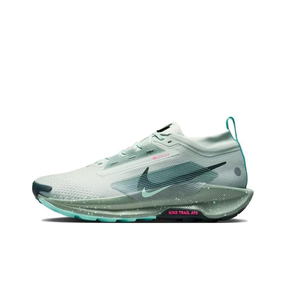 

Nike Pegasus Trail 5 GORE-TEX Light Silver Clay Green Men Sneakers Teal Mint-Foam Seaweed FQ0908-013 42