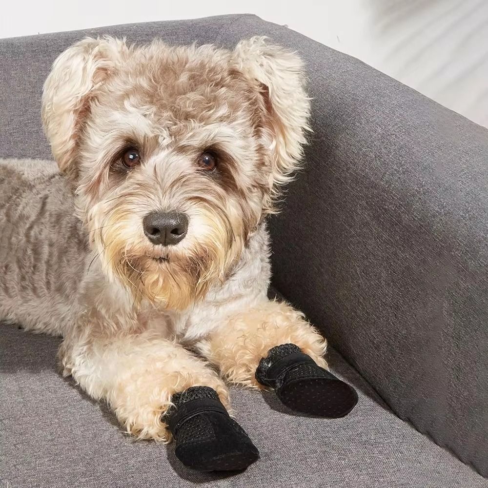 4pcs/set Soft-soled Dog Shoes Mesh Pet Sandals New Poodle Dog Shoes for Small Dogs Puppies