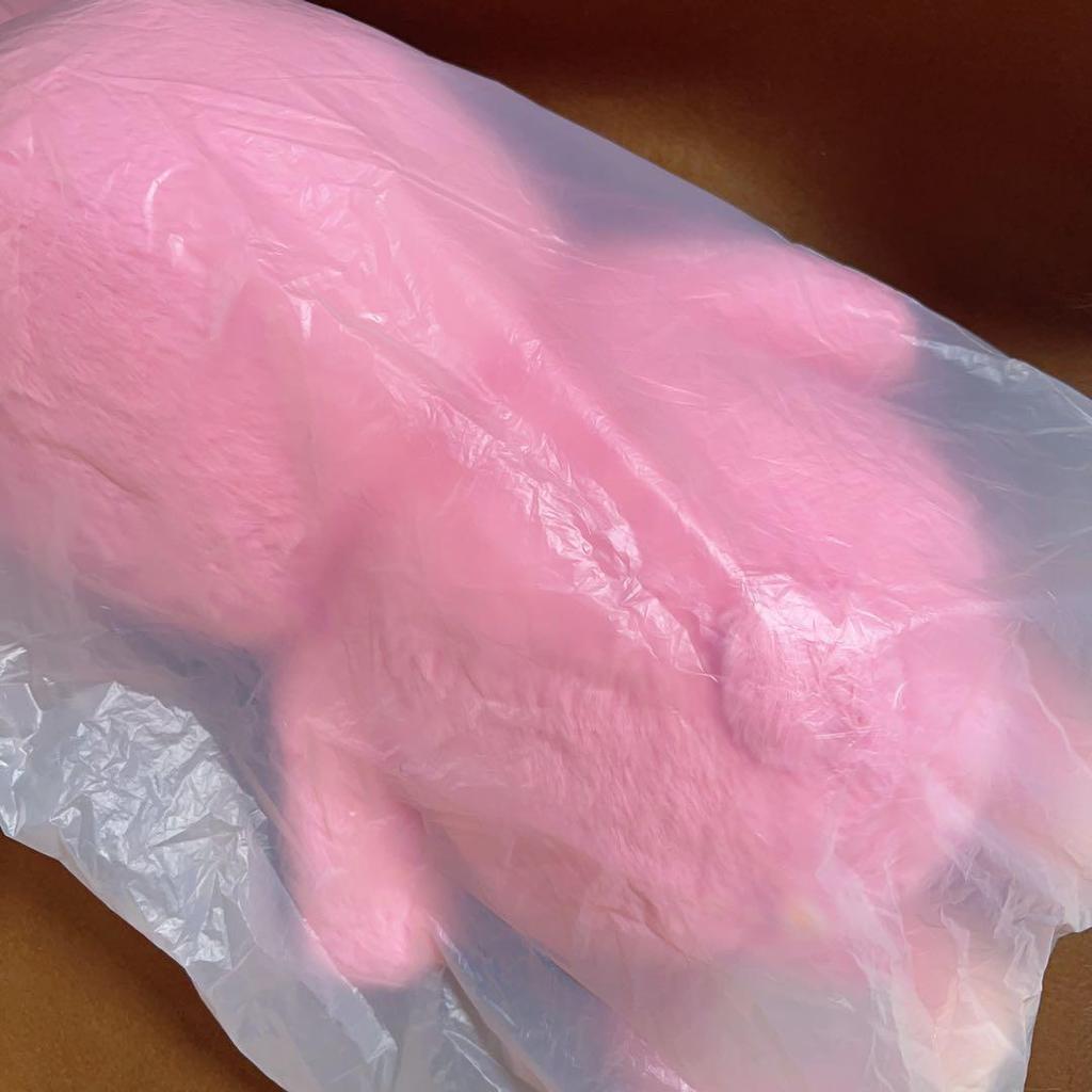 [USED] SKZOO Teddy Bear Changbin Tueqi