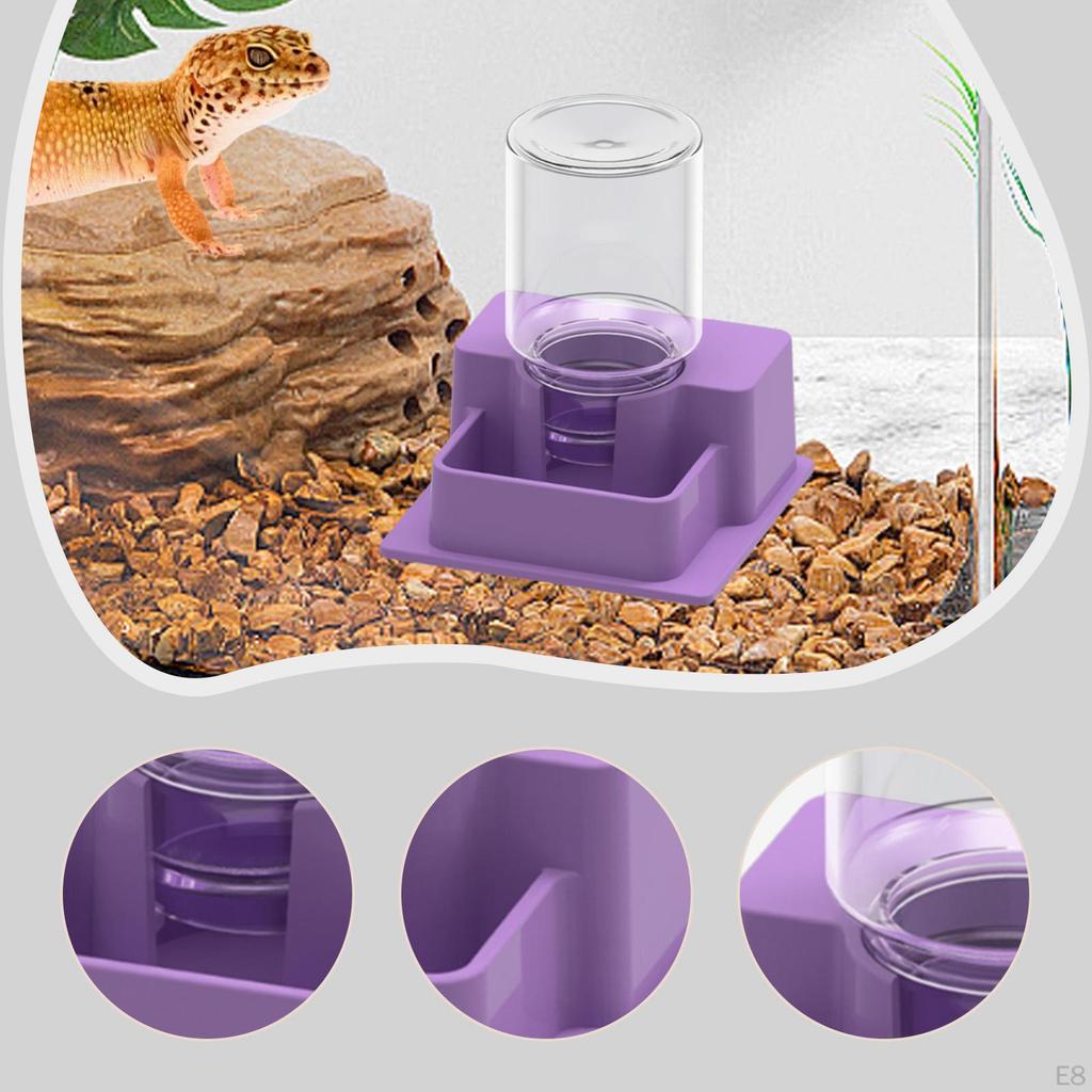 Reptile Feeder Automatic Water Dispenser Tank and Aquarium Accessories for