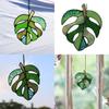 Monstera Blatt Sonnenfänger Aus Acrylmaterial Für Wandkunst Geschenk Und Feiertagsfeier