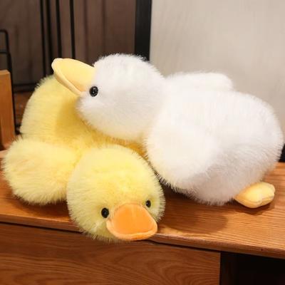 Bebek ve Peluş Oyuncaklar – Doldurulmuş ve Peluş oyuncak hayvanlar