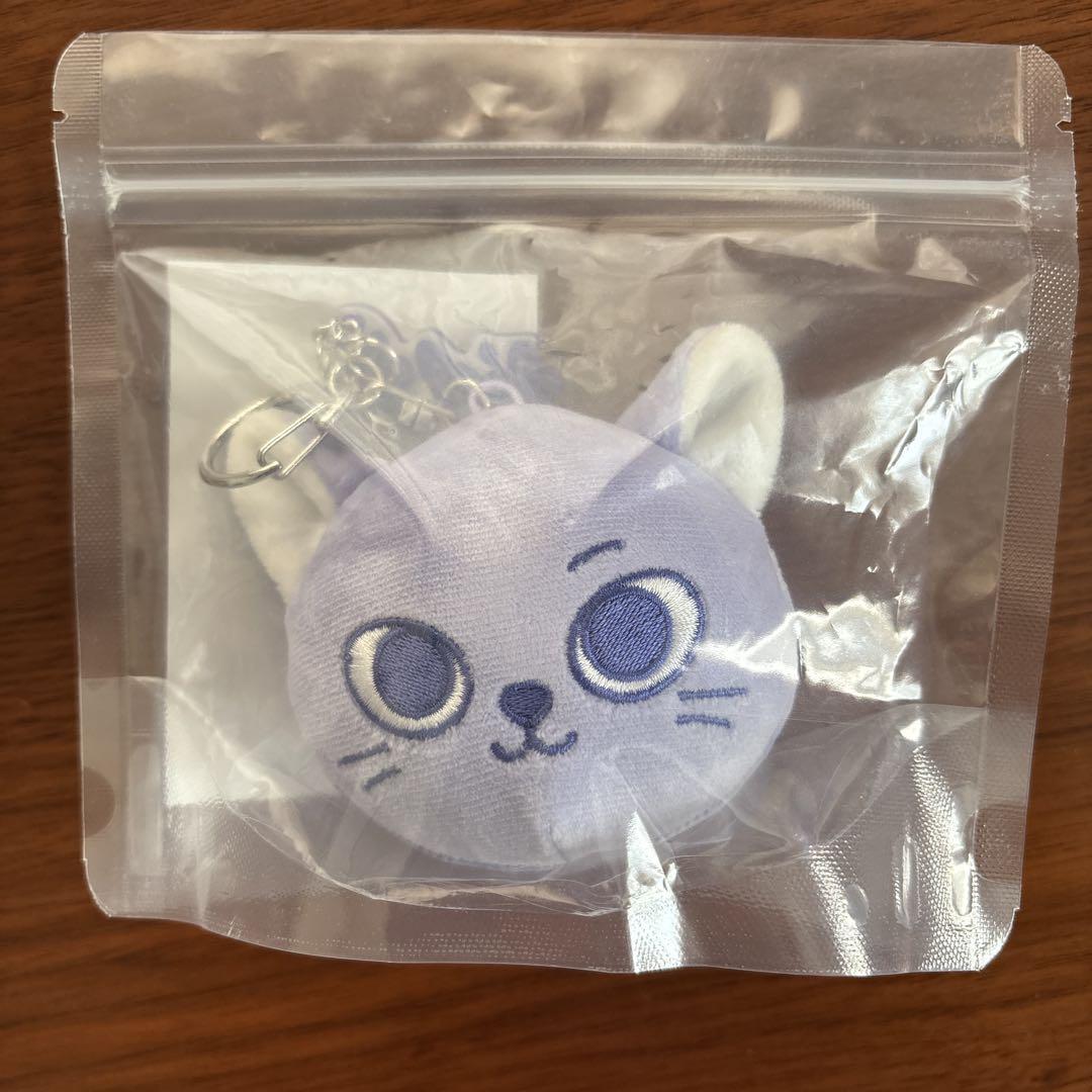 

[USED] BBNEXDO FACE KEYRING Songho