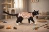 Postoperative Clothing for Cat Size Dog Apron Comfortable Cotton with Cats