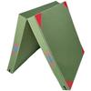 Wu Rong Foldable Gymnastics Mat WR373