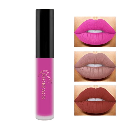 Lasting Beauty Cosmetic Makeup Lipstick Matte Lip Glosses
