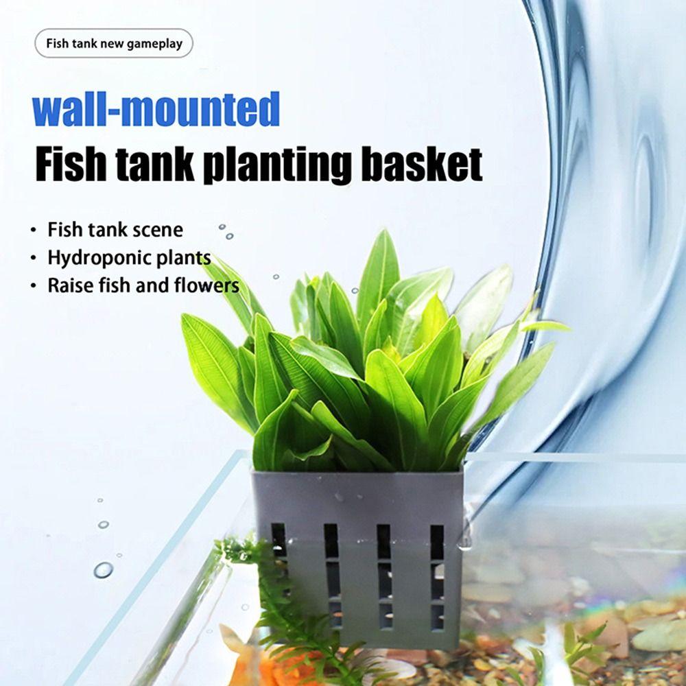 Water Plant Stand Fish Tank Hydroponic Planting Basket Aquarium Planter Cups  for Fish Tank