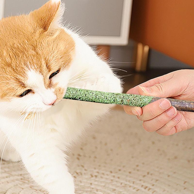 Cat Grass Sticks Indoor Cat Teething Grass Sticks Teething Stick Snacks For Cats Cat Grass Sticks For Hairball Removal