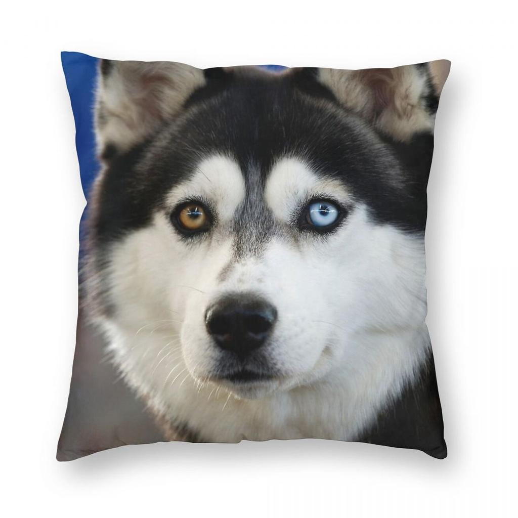 Federa Quadrata Siberian Husky Poliestere Lino Velluto Fantasia Zip Federa Decorativa Copricuscino per Stanza