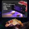 Reptile – Terarii pentru reptile