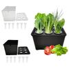 Plastic Soil-Free Planting Box Self Watering Nursery Pots  Vegetable Growing