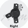 Rechter Motorlager-Isolator-Unterbaugruppe für Toyota RAV4 RAV 4 OEM 12305-26071 1230526071 12305 26071