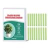 Plant Growth Fertilizers Stick for Healthy Indoor & Outdoor Gardening, Easy To Use, Continuous Release, Full Nutrition