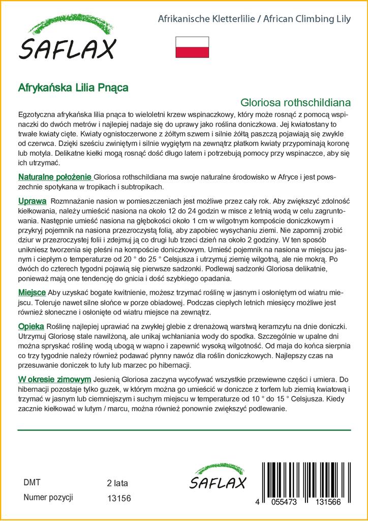 SAFLAX African Climbing Lily - 15 Seeds - Gloriosa Rothschildiana