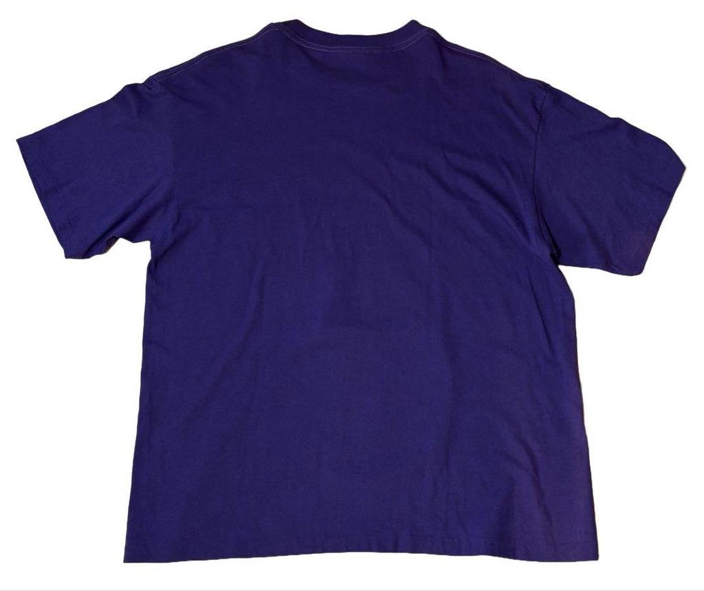 [USED] Made In USA 90s Looney Tunes T-shirt, Sylvester and Tweety, Purple