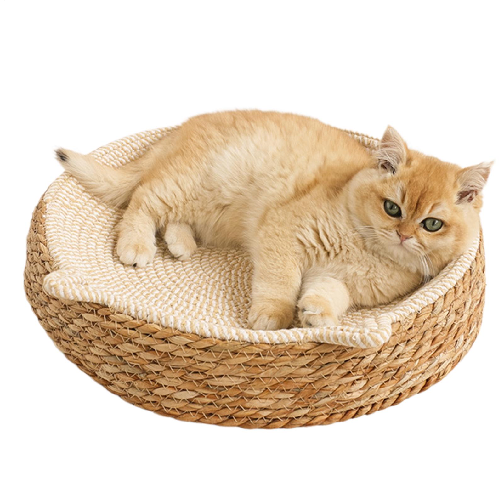 

Round Cat Scratcher Breathable Pad Kitten Ear Design Cotton Rope Cat Bed For Play Exercise Enrichment Activity Nail Trimming China Mainland