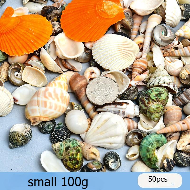 

Натуральные ракушки, морские раковины, морские звезды, декорации для аквариума, материалы для ручной поделки «Картина из ракушек» DIY, крупные гребешки, декоративные поделки для подвески-колокольчика