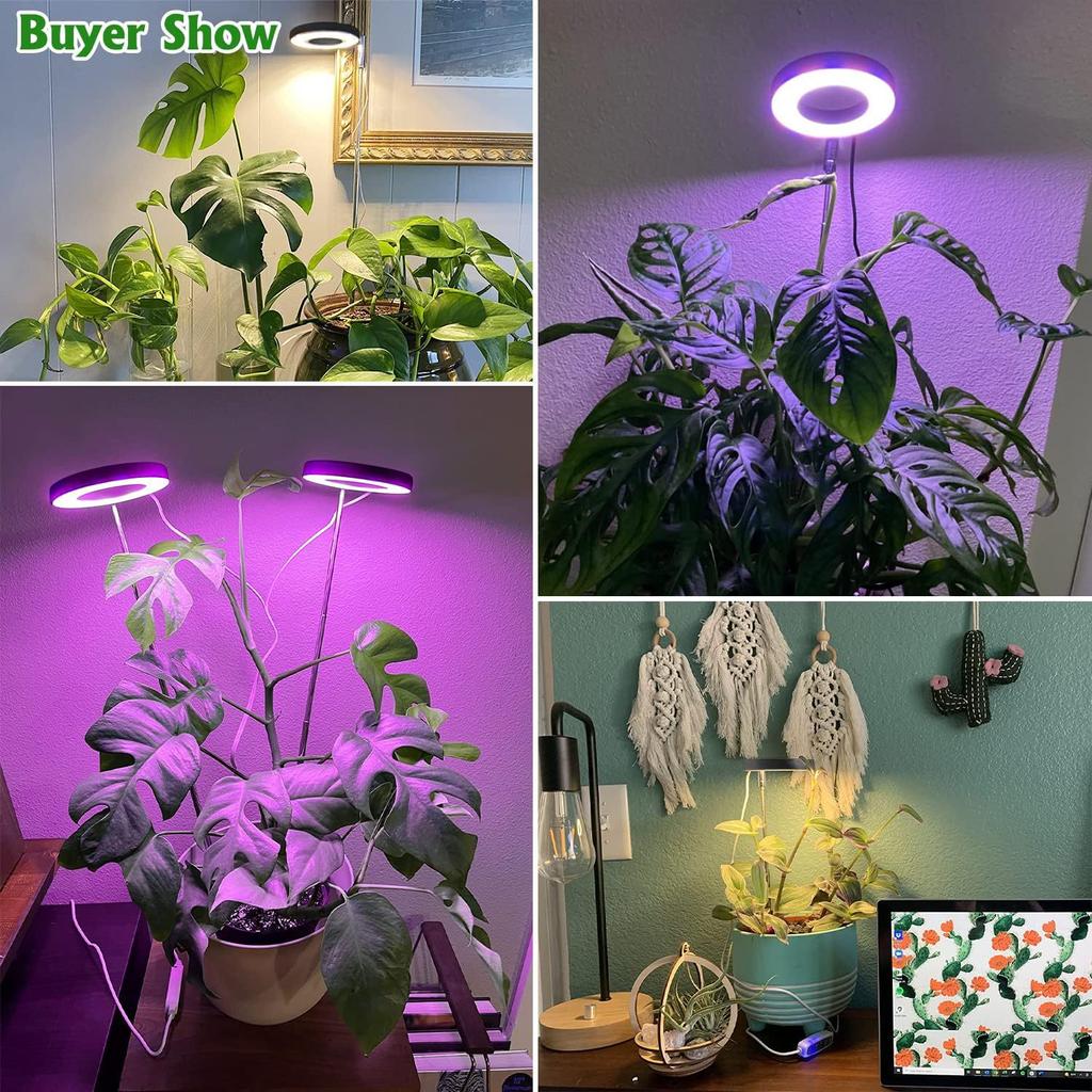 Full Spectrum LED Grow Lights for Indoor Plants Height Adjustable Dimmable Growing Lamp Flower Halo Ring Phyto Lamp Growth Light