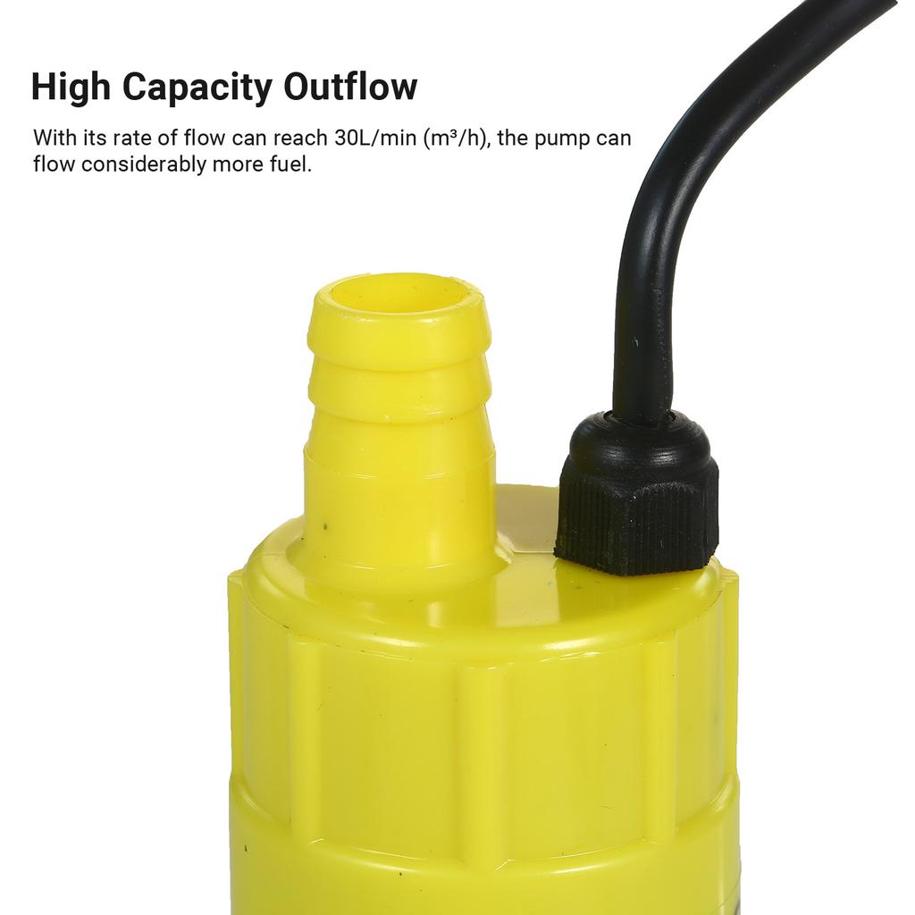 Portable Electric Pump Submersible Fuel Transfer Pump with Outlet Size of 19mm Filter 2 Aligator