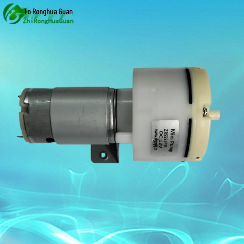 High Flow 12V/24V Mini Negative Pressure and Inflating Air Pump