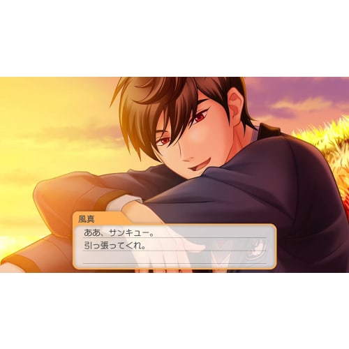 Tokimeki Memorial Girl's Side 4th Heart