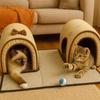 Produse pentru animale – Mobilier pentru animale de companie