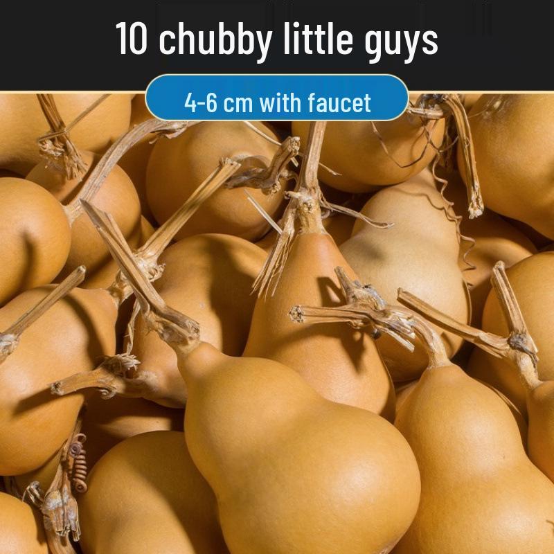 Biao Yun Dragon Head Gourd Handheld Ornament - Miniature Wenwan Collection Piece