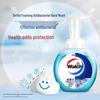 Walch 99% Antibacterial Foam Hand Soap