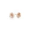 [Rosemont] Silver Earrings Rj0001