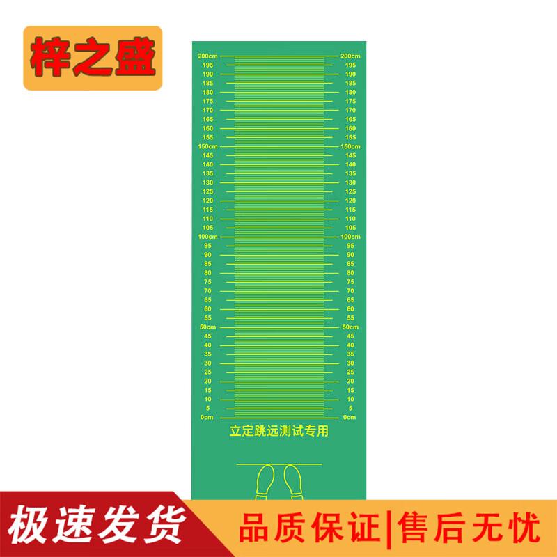 Zisheng Standing Long Jump Mat