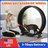 48 Inch Cat Treadmill Silent Exercise Wheel Stable Sustainable Indoor Running Wheel for Cat Fitness Weight Loss Training Supply
